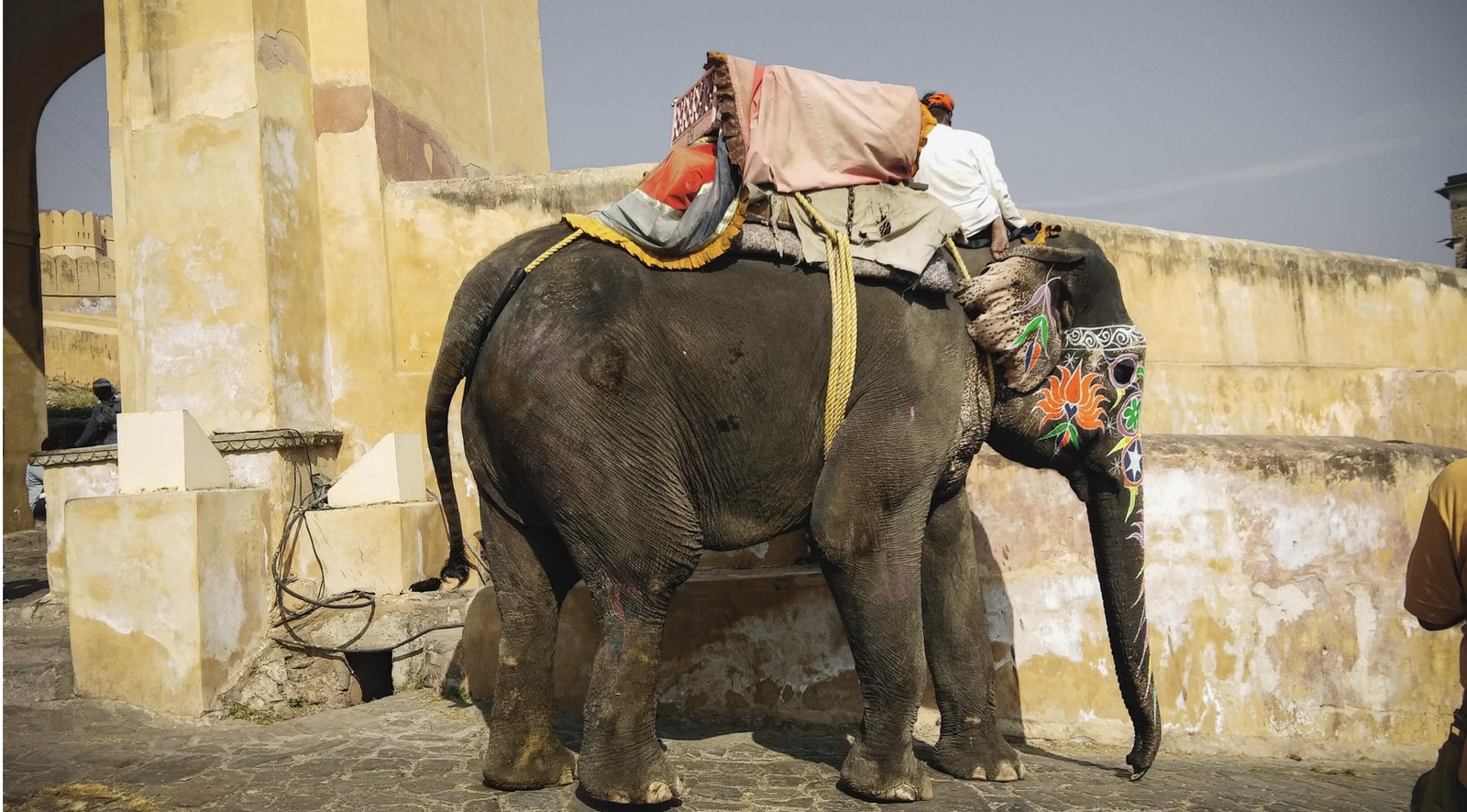 Jaipur Jodhpur Jaisalmer Tour