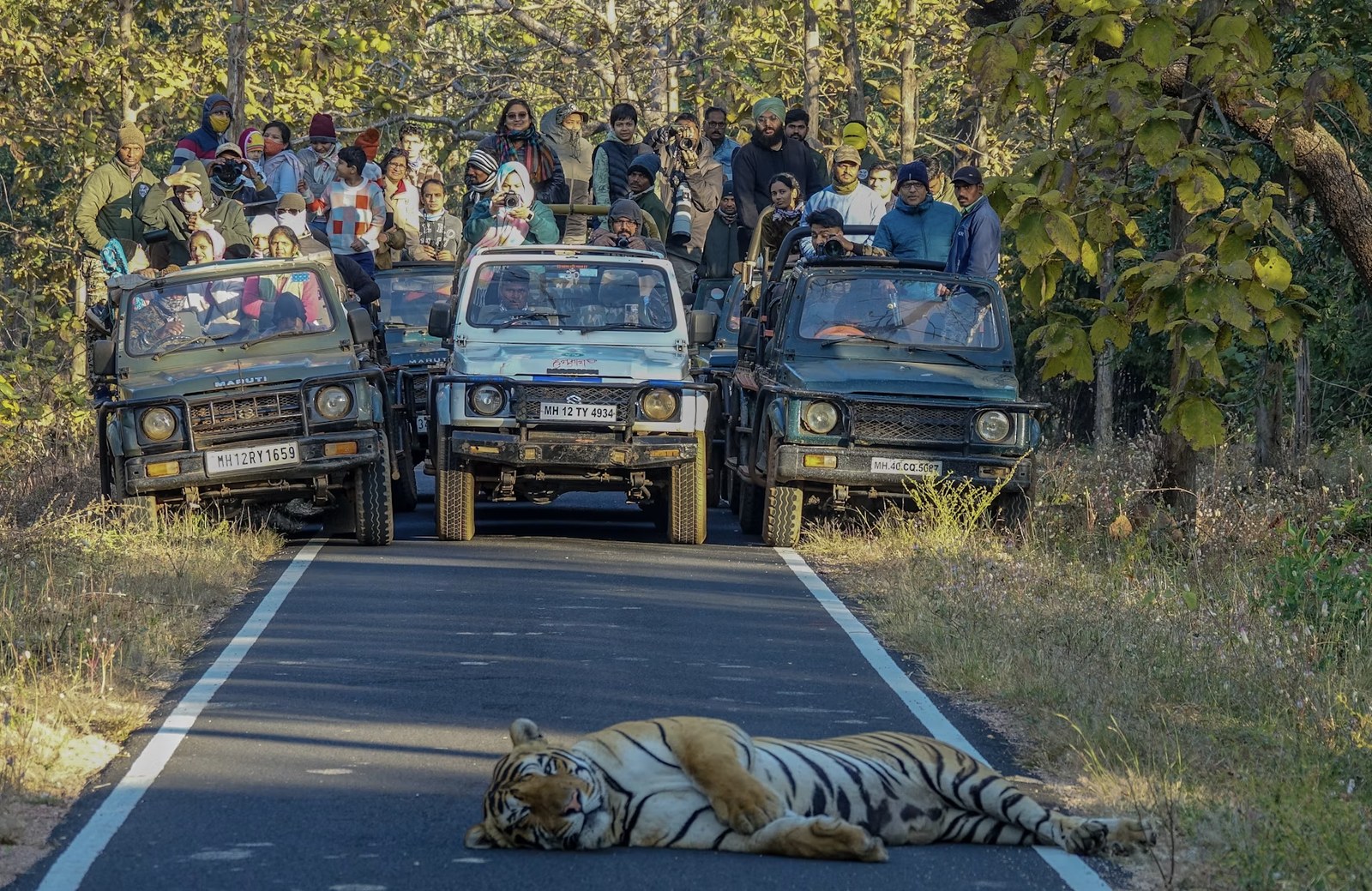 Nainital Corbett Wildlife Escape