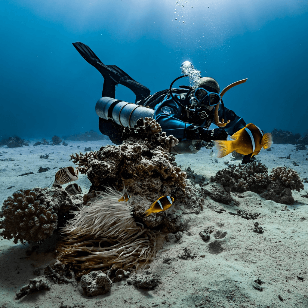 Scuba Diving